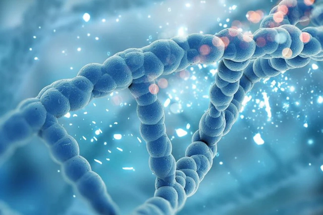 Division of Molecular Biology