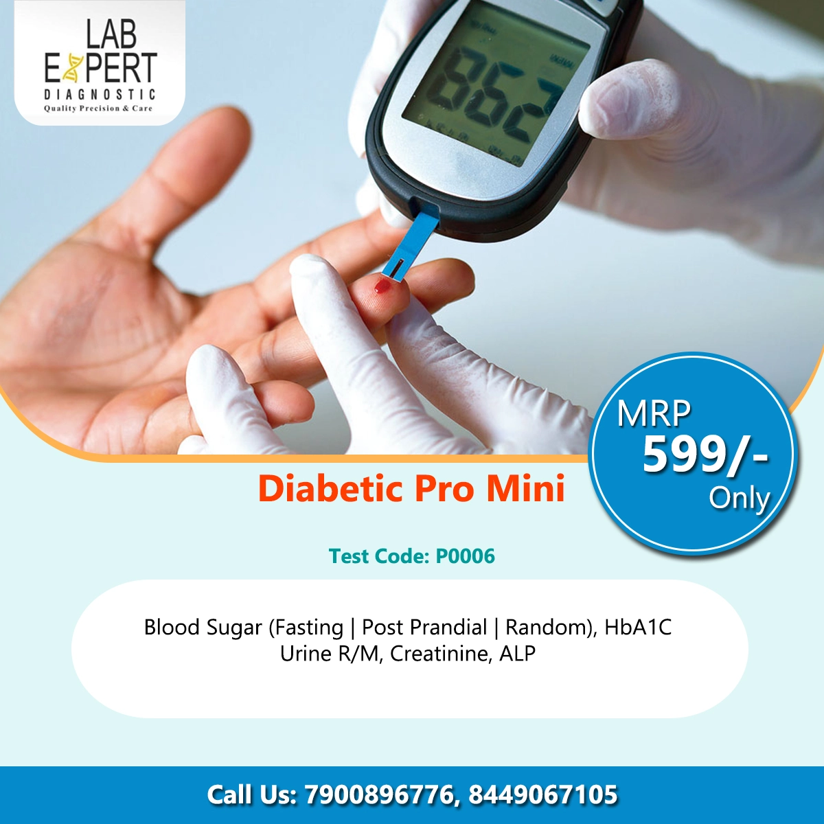 Diabetic Pro Mini